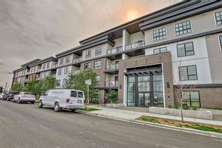 Photo 41: 411 4275 Norford Avenue NW in Calgary: University District Apartment for sale : MLS®# A2074728