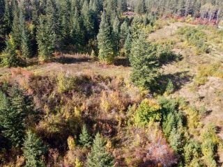 Photo 12: 402 Princess Street, in Enderby: Vacant Land for sale : MLS®# 10265189
