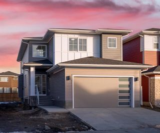 Photo 40: 165 Red Embers Place NE in Calgary: Redstone Detached for sale : MLS®# A2013148