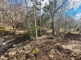 Photo 3: Lot 2 Clark Road in Bear River: Digby County Vacant Land for sale (Annapolis Valley)  : MLS®# 202208754