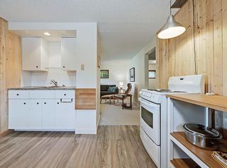 Photo 26: 2307 Mackay Road NW in Calgary: Montgomery Detached for sale : MLS®# A1226333