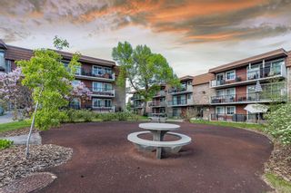 Photo 5: 57C 231 Heritage Drive SE in Calgary: Acadia Apartment for sale : MLS®# A2052152