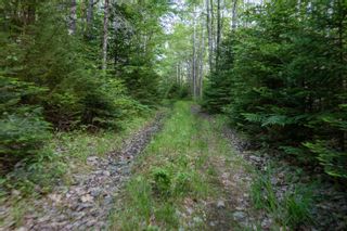 Photo 10: 1-A Lacey Mines Road in Chester Basin: 405-Lunenburg County Vacant Land for sale (South Shore)  : MLS®# 202214839