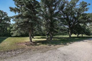 Photo 39: 28085 PR 216 Highway in Grunthal: R16 Residential for sale : MLS®# 202207139
