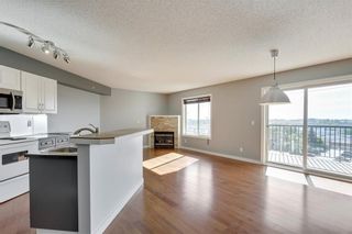 Photo 7: 303 3912 Stanley Road SW in Calgary: Parkhill Apartment for sale : MLS®# A1207465