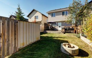 Photo 30: 168 Cranberry Lane SE in Calgary: Cranston Detached for sale : MLS®# A2006084