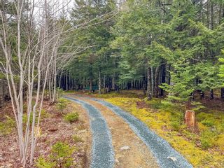 Photo 8: 265 Camperdown School Road in Middlewood: 405-Lunenburg County Vacant Land for sale (South Shore)  : MLS®# 202305865