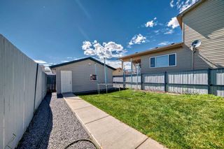 Photo 32: 271 Martindale Drive NE in Calgary: Martindale Detached for sale : MLS®# A2138652