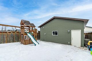 Photo 26: 340 Luxstone Place: Airdrie Detached for sale : MLS®# A1189968