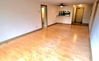 Photo 7: 307 540 18 Avenue SW in Calgary: Cliff Bungalow Apartment for sale : MLS®# A1202145
