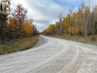 Photo 12: Lot Caleah Lane in Hanwell: Vacant Land for sale : MLS®# NB097339