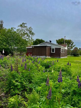 Photo 8: 70 Stonehurst Road in Blue Rocks: 405-Lunenburg County Vacant Land for sale (South Shore)  : MLS®# 202205228