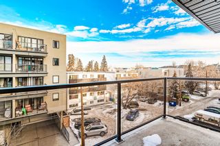 Photo 31: 410 130 25 Avenue SW in Calgary: Mission Apartment for sale : MLS®# A2015508