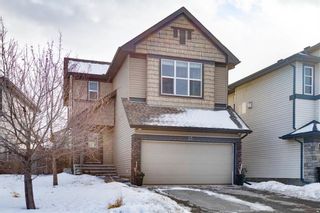Photo 30: 23 Walden Court SE in Calgary: Walden Detached for sale : MLS®# A1191529