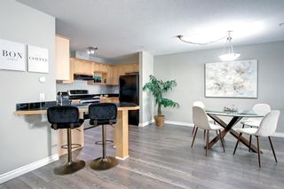 Photo 9: 210 1631 28 Avenue SW in Calgary: South Calgary Apartment for sale : MLS®# A1234288