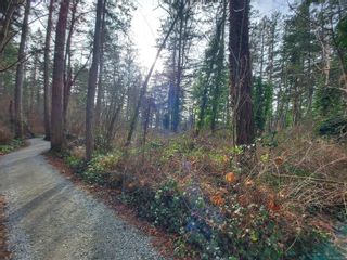 Photo 6: 0 Towner Park Rd in North Saanich: NS Deep Cove Land for sale : MLS®# 894425