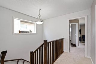 Photo 9: 213 Panton Way NW in Calgary: Panorama Hills Detached for sale : MLS®# A2052489