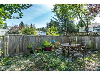 Photo 18: 12085 GEE STREET in Maple Ridge: East Central House for sale : MLS®# R2303678