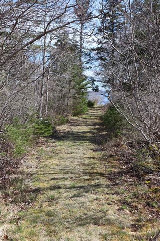 Photo 6: Lot Long Cove Road in Port Medway: 406-Queens County Vacant Land for sale (South Shore)  : MLS®# 202110309