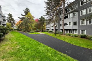 Photo 24: 507 9890 MANCHESTER Drive in Burnaby: Cariboo Condo for sale (Burnaby North)  : MLS®# R2823532