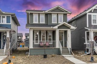 Photo 35: 175 Evanscrest Place NW in Calgary: Evanston Detached for sale : MLS®# A2095640