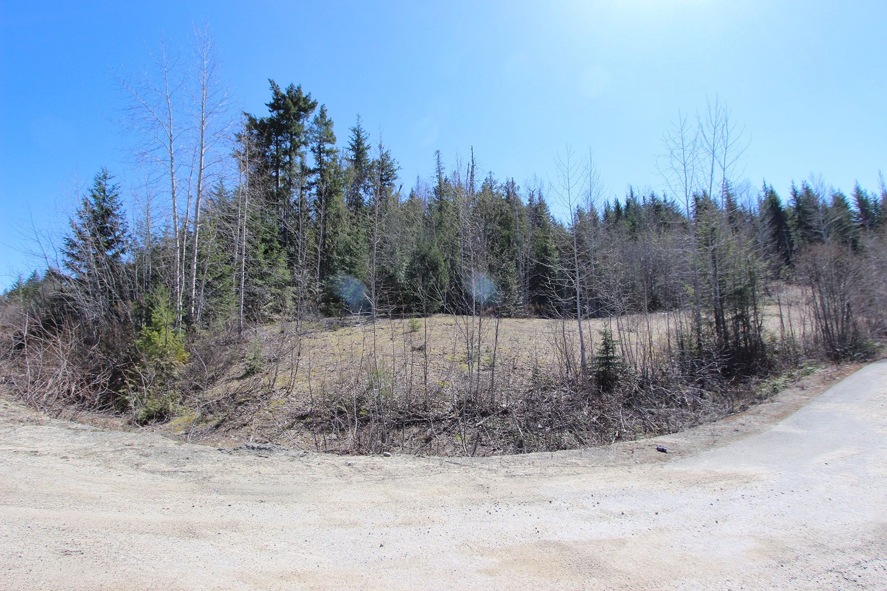 Main Photo: Lot 11 Ivy Road: Eagle Bay Vacant Land for sale (South Shuswap)  : MLS®# 10229941
