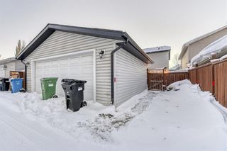 Photo 35: 458 Elgin Way SE in Calgary: McKenzie Towne Detached for sale : MLS®# A2011456
