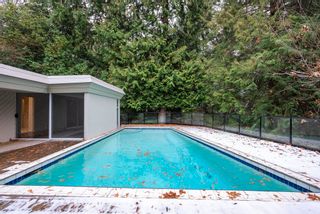 Photo 32: 3941 WESTRIDGE Avenue in West Vancouver: Bayridge House for sale : MLS®# R2741942