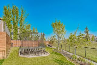 Photo 45: 94 Nolanshire Crescent NW in Calgary: Nolan Hill Detached for sale : MLS®# A2049588