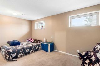 Photo 28: 3427 56 Street NE in Calgary: Temple Detached for sale : MLS®# A2104752