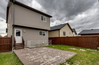 Photo 43: 290 Martindale Drive NE in Calgary: Martindale Detached for sale : MLS®# A1221124