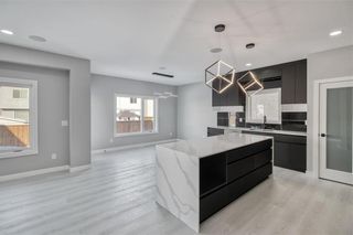 Photo 18: 60 Cheema Drive in Winnipeg: Castlebury Meadows Residential for sale (4L)  : MLS®# 202400705