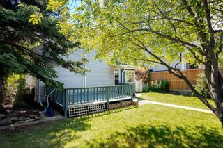 Photo 31: 824 19 Avenue NW in Calgary: Mount Pleasant Detached for sale : MLS®# A1009057