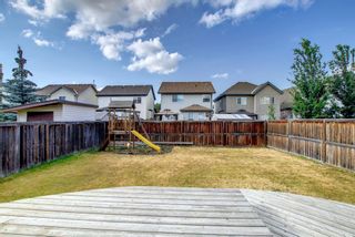 Photo 35: 132 Copperfield Green SE in Calgary: Copperfield Detached for sale : MLS®# A1254578