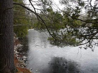Photo 6: 0 St Georges Lake Road in Central Frontenac: Property for sale : MLS®# X3224210