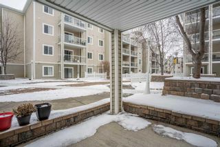 Photo 25: 102 290 Shawville Way SE in Calgary: Shawnessy Apartment for sale : MLS®# A2106648