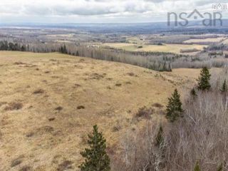 Photo 5: 894 Morden Road in Aylesford: Annapolis County Farm for sale (Annapolis Valley)  : MLS®# 202319107