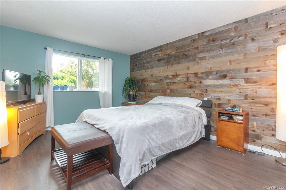 Large Master bedroom with real cedar feature wall and west facing window