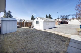 Photo 26: 3431 30A Avenue SE in Calgary: Dover Detached for sale : MLS®# A1200936