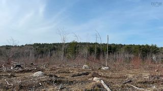 Photo 3: Lot New Elm Road in New Elm: 405-Lunenburg County Vacant Land for sale (South Shore)  : MLS®# 202208148