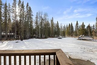 Photo 23: 3 32579 Range Road 52: Rural Mountain View County Detached for sale : MLS®# A2119773