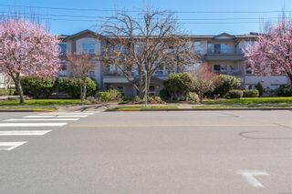Photo 2: 102 9945 Fifth St in Sidney: Si Sidney North-East Condo for sale : MLS®# 927676