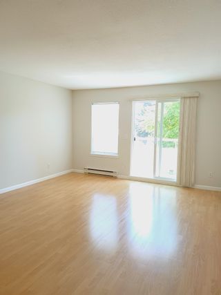 Photo 4: 307 450 BROMLEY Street in Coquitlam: Coquitlam East Condo for sale in "BROMLEY MANOR" : MLS®# R2612328