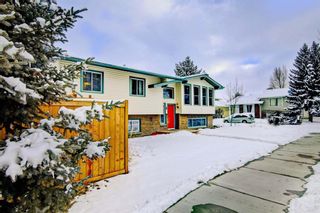 Photo 37: 2 Sheppard Road SW: High River Detached for sale : MLS®# A1189713