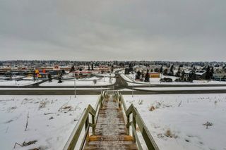 Photo 48: 275 Parkland Crescent SE in Calgary: Parkland Detached for sale : MLS®# A1064121