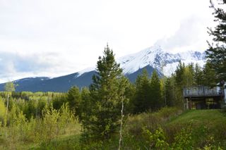 Photo 21: 9795 HORLINGS Road in Smithers: Smithers - Rural House for sale in "Silvern Estates" (Smithers And Area)  : MLS®# R2700198