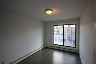 Photo 15: 304 1625 14 Avenue SW in Calgary: Sunalta Apartment for sale : MLS®# A2023442