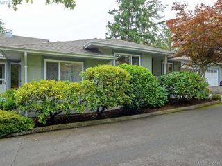 Photo 1: C 3972 Cedar Hill Cross Rd in VICTORIA: SE Maplewood Row/Townhouse for sale (Saanich East)  : MLS®# 798157