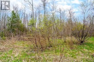 Photo 11: 47 MEADOWS AVE in Tay: Vacant Land for sale : MLS®# S5977167