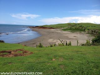Photo 10: Oceanfront land for sale in Las Tablas